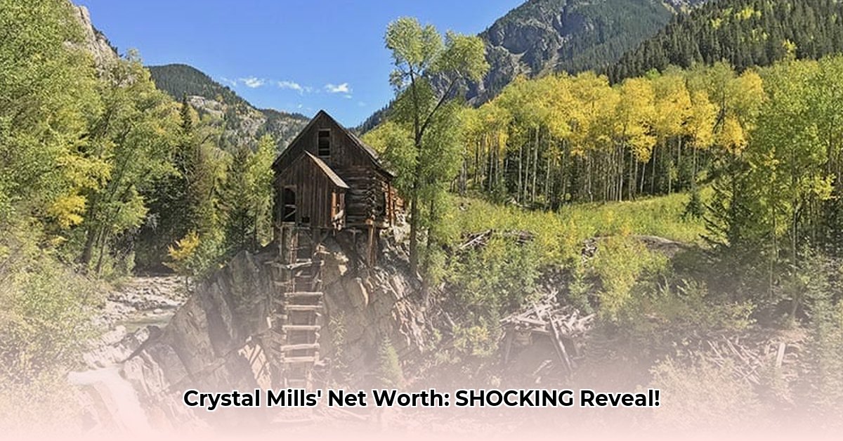 crystal-mills-net-worth